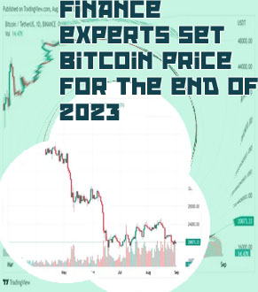 Bitcoins highest price