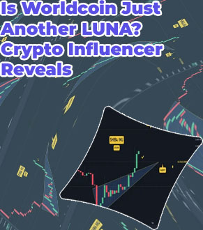 Shibusd crypto